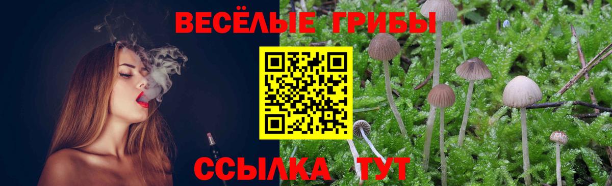 Псилоцибиновые грибы мухоморы  Вход с VPN  купить наркотики сайты  Екатеринбург 